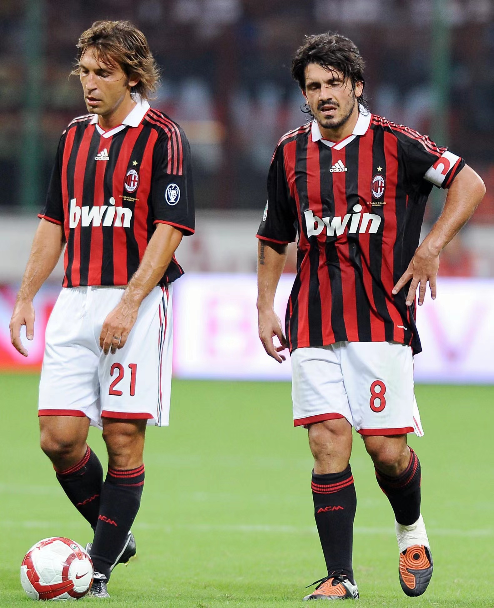 它提供了一 它提供了一